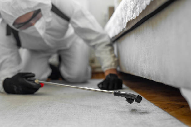 Professional Termite Control technician working in Wakeman, OH
