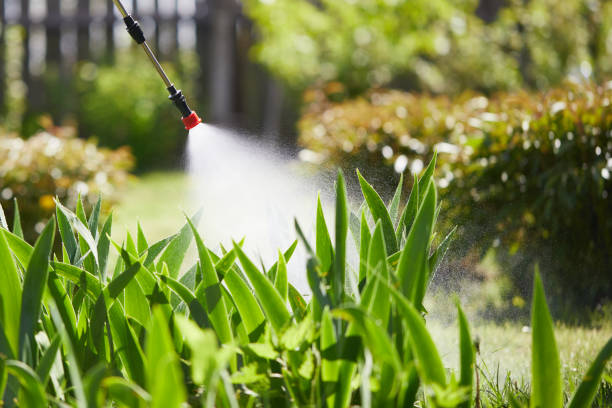 24/7 Emergency Termite Control experts in Wakeman, OH